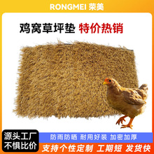 �����u�C�|��ů�u���|�ӵ��|�ӿ���ϴ�����ƺ�����ƺ�|���ܼӺ�