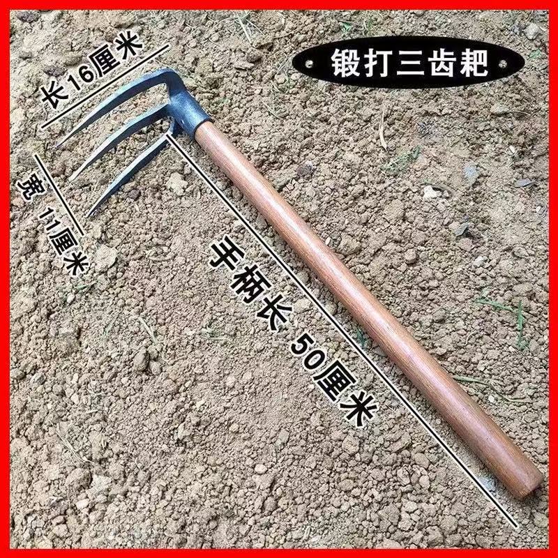 微信图片_202503301441351.jpg