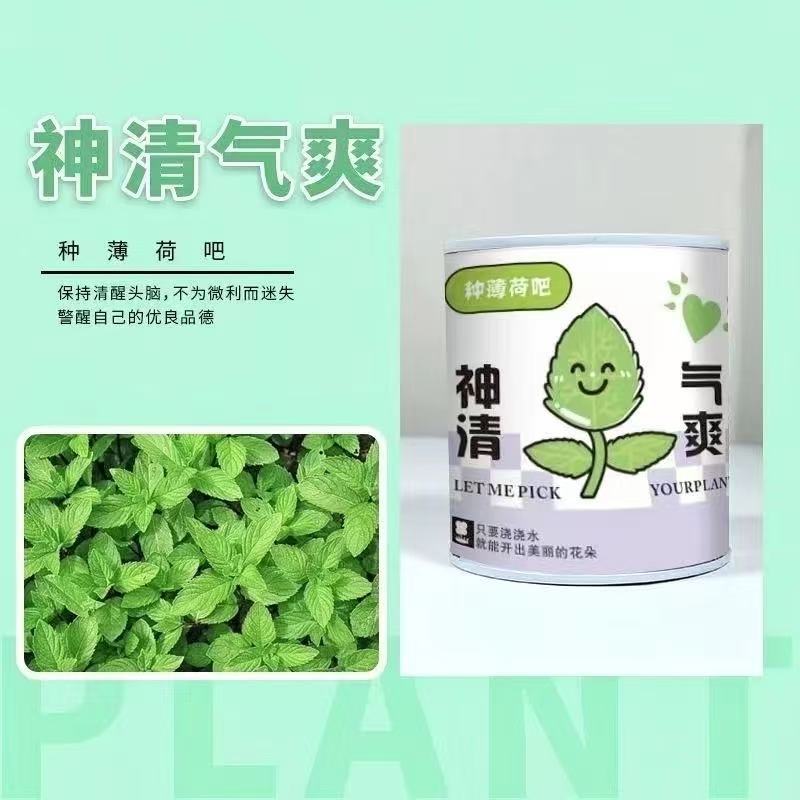 ใหม่กระถางกระป๋องฝาอลูมิเนียม-【 Mint 】