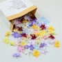 小号花朵材料包绢花