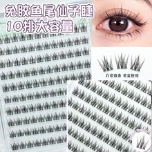 �����~β�������z�ٽ�ë�������ճ��δ���Ȼ��������ֶַ�