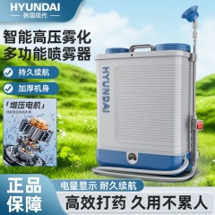 韓国の現代電動噴霧器農業用噴霧器高電圧リチウム電池花の水やり農薬噴霧器バックパック家庭用
