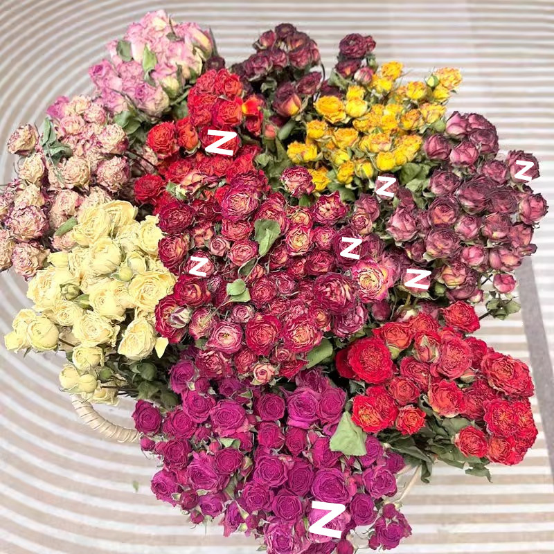 a7506a0b-169a-4d2f-9c58-275d4aaf3595.jpe