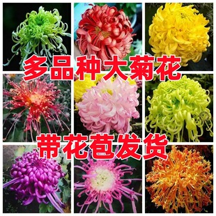�ջ���󻨎����������ļ��ش��_����ջ����m�ϑ����B�Ļ����]