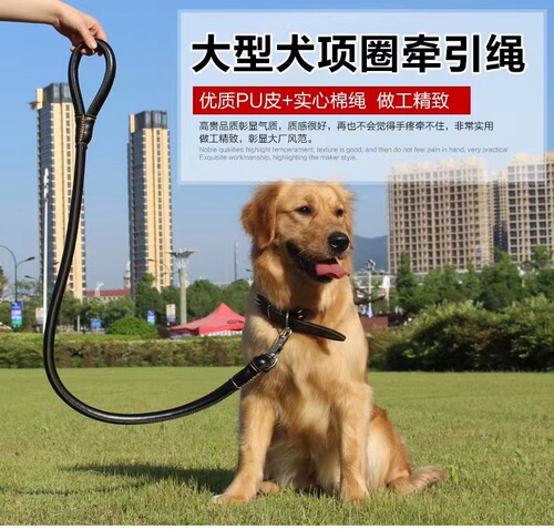 Dog Leash PU Leather Collar Cattle Dog Rope Medium Large Dog Golden Chain Durable Dog Walking Set