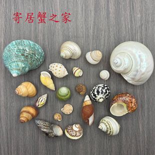 �ľ�з��Q��΁ţ����Ȼ����ؐ���ֹ�diyˮ����к��b��~���쾰