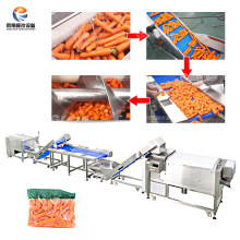 P }ϴxĥƤQ}ľɏźֶϴӹ