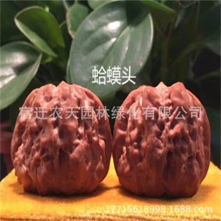 ��܊�^С���^������Ұ����������Ҙ�{���^��ñ�����Ǯ�����