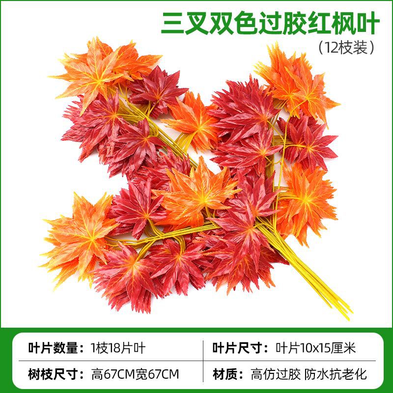 접착된 노란색 줄기 2색 붉은 단풍잎(12가지)