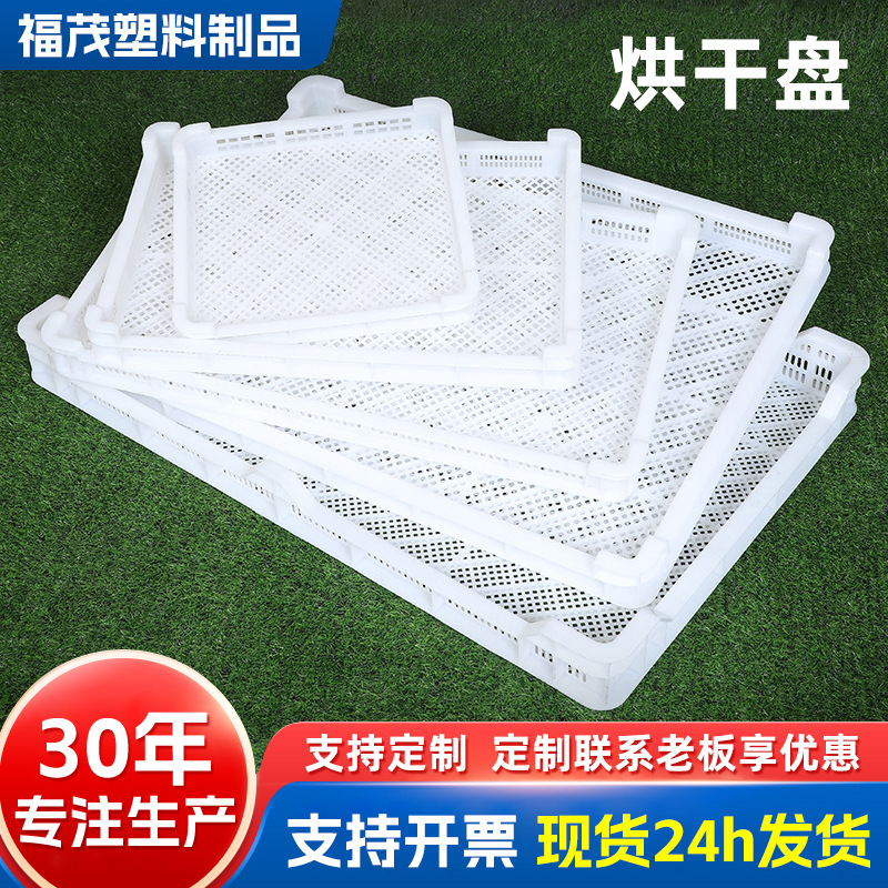 加工定制盘塑料网眼晾晒盘单冻器果蔬冷冻盘盘周转箱长方形储物