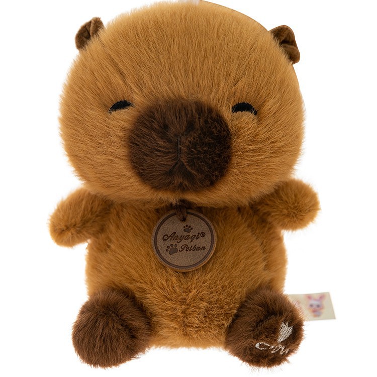 Venta directa de fábrica de peluches de tamaño palma, pellets aromáticos, muñecas y animales de peluche para graduación de estudiantes.