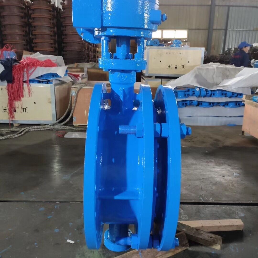 D341X-16Q 手电动dn100 橡胶软密封阀门现货供水排水涡轮法兰蝶阀