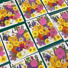 �̎����Y����Ȼֲ��ɻ�����diy���Ϙ��~�ֹ����z�N���˱��ܷ�