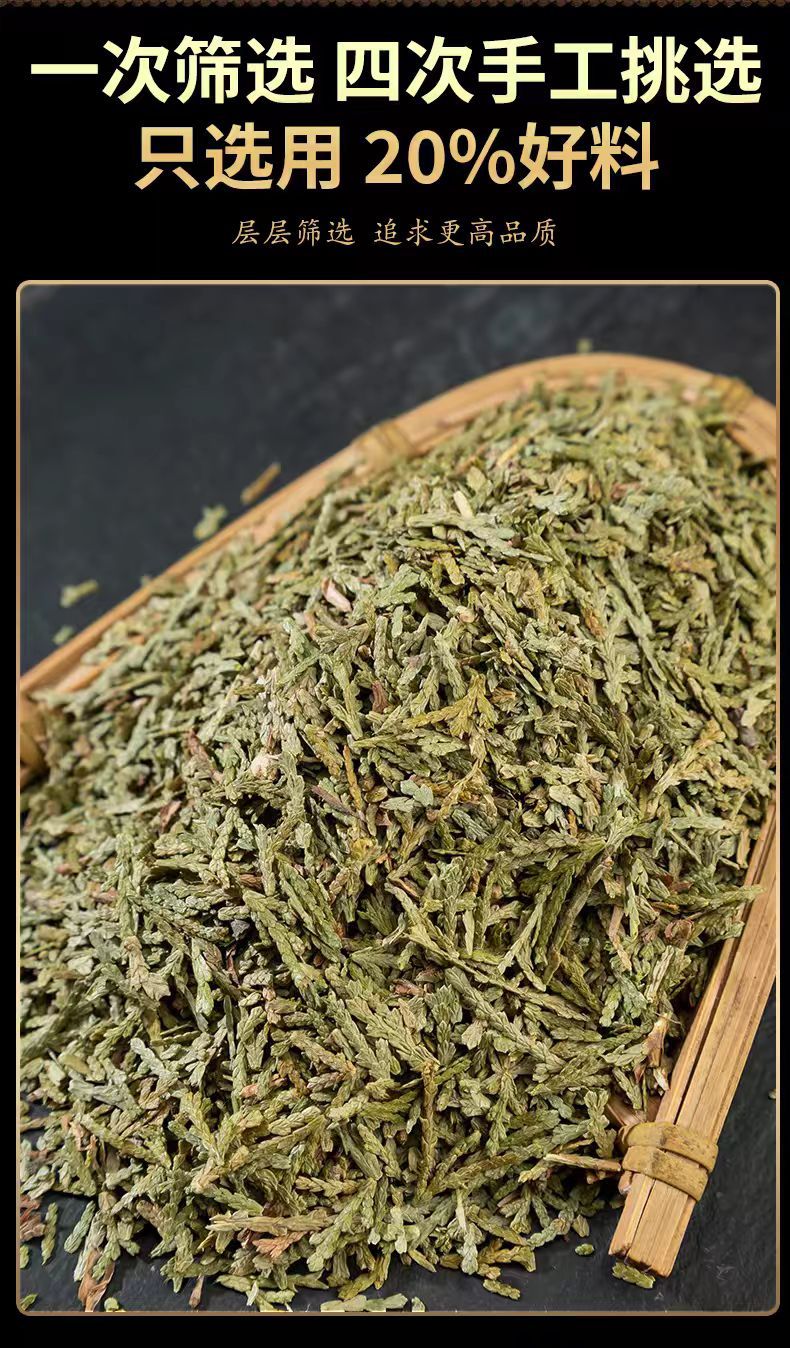 Ce Bai Ye (Platycladus orientalis) — Dried Arborvitae Leaf for Hair Rinse & Herbal Use quality and texture