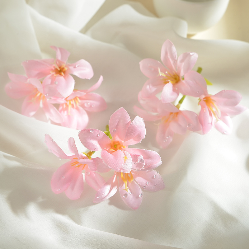 이슬삼지화-다크핑크