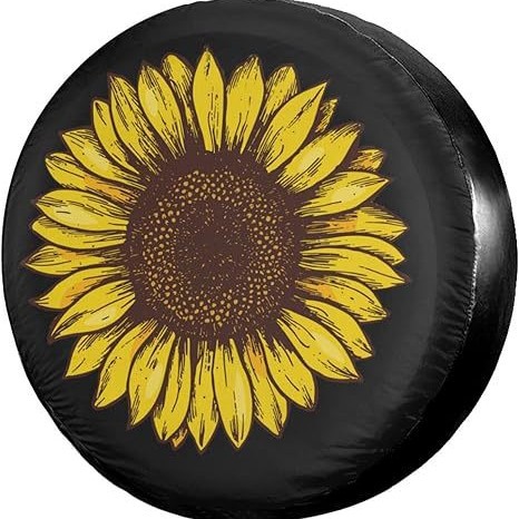 2026-01-22 16:13:44.jpg