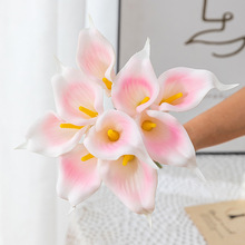 ����PU�R��ɏ�ٻ����滨�羳���Q�Ҿ��bzӰ�����ָ����l�S��