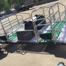多规格可选母猪产床分娩小猪床饲喂猪圈小猪栏