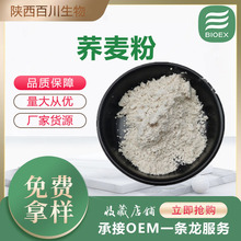 荞麦粉荞麦熟粉食品原料灰白色粉末现货供应支持拿样量大价优包邮