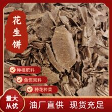 �͏Sֱ������� �N����~��C �D�� �r���ЙC��  �����l����