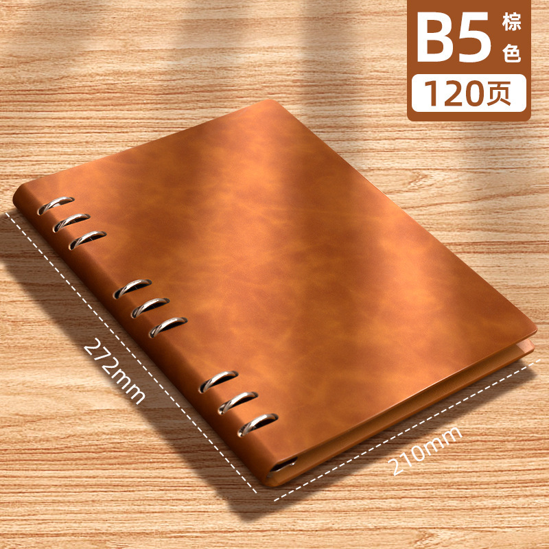 브라운 B5