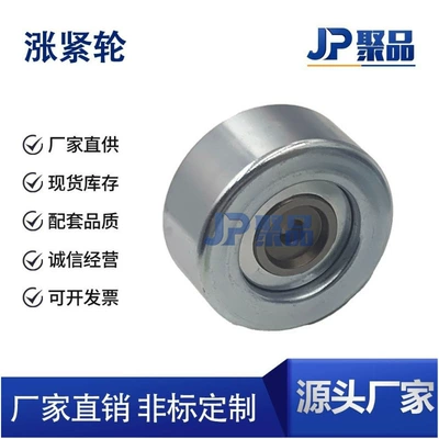 Timing Belt Tensioner Idler Pulley 2528135060 Pt-P 6441 Suitable for Hyundai Kia Engine Parts