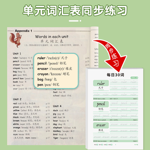 30 words per day for primary school students in third grade to practice copybooks, letters and words simultaneously in English dictation practice wholesale