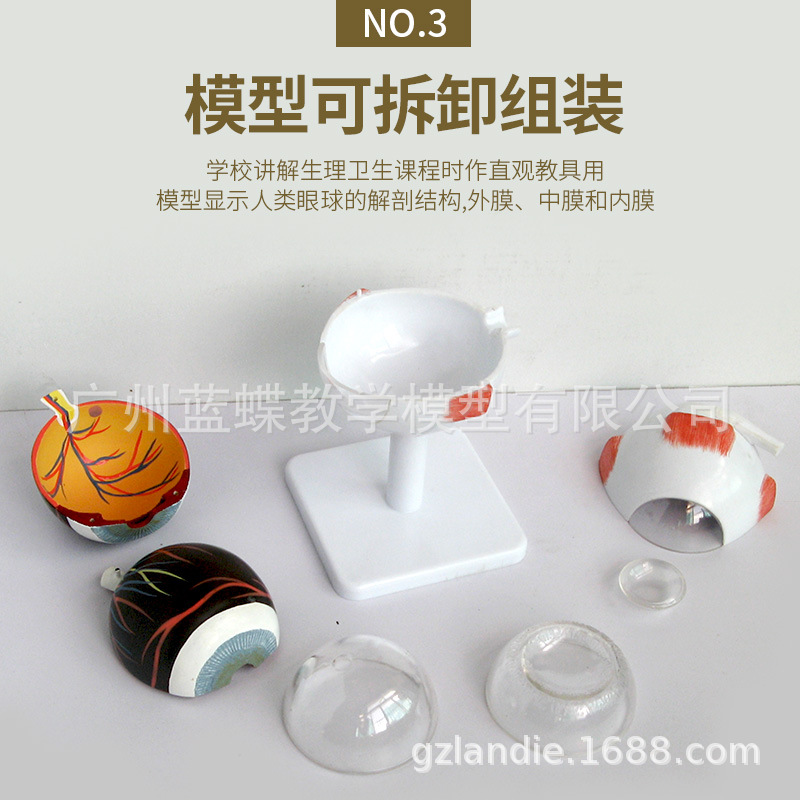 3���Ŵ� �����������ģ�� �����۾�����ѧ �о�����ٿ��ۿ�ģ��