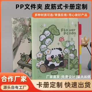 pp塑料文件夹来图定制 卡通动漫周边收藏小卡册明星小卡收纳相册