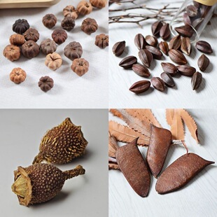 �����N����ɻ����}�Q������b�Ʒ�ɻ��ɹ�ֲ�����DIY���