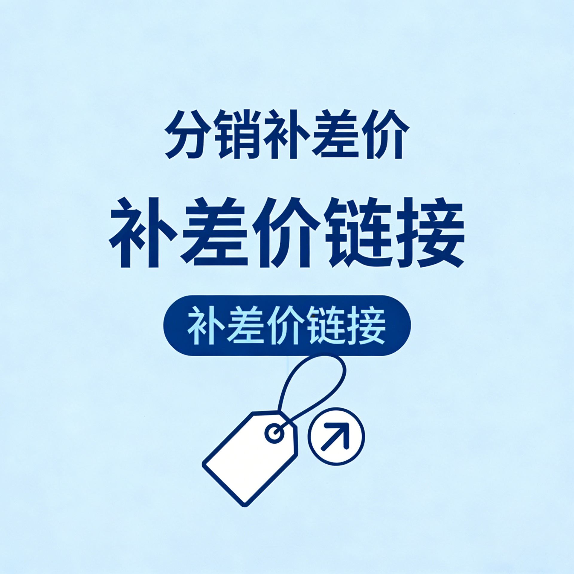 【分销专拍】分销补差专用链接 订单差价补拍 非商品请勿随意拍下