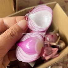 (珍珠小洋葱）紫红皮小洋葱香葱生吃微辣微甜可以炒菜凉拌时令蔬