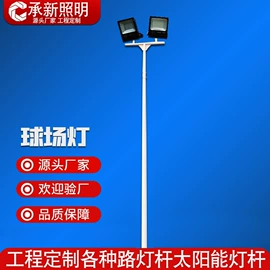 道路照明灯;太阳能灯;路灯