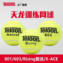 ��������ѵ����801 603����X-ace��ѧѵ������ѵ����ߵ�����