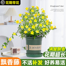 ������ˮ������ֲ�������ļ������h���������҃����̨�ͺ�ֲ��