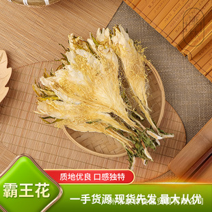 �F؛���� ��؛������ ��G���� ��؛ș�����l �V�|�خa �Ҝ���Ʒ