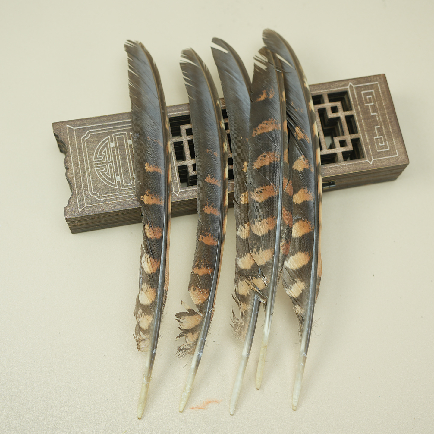 Fábrica al por mayor de bricolaje plumas pequeñas plumas naturales plumas de pollo salvaje plumas de pato jardín de infantes joyas hechas a mano gato divertido material de captura de sueños