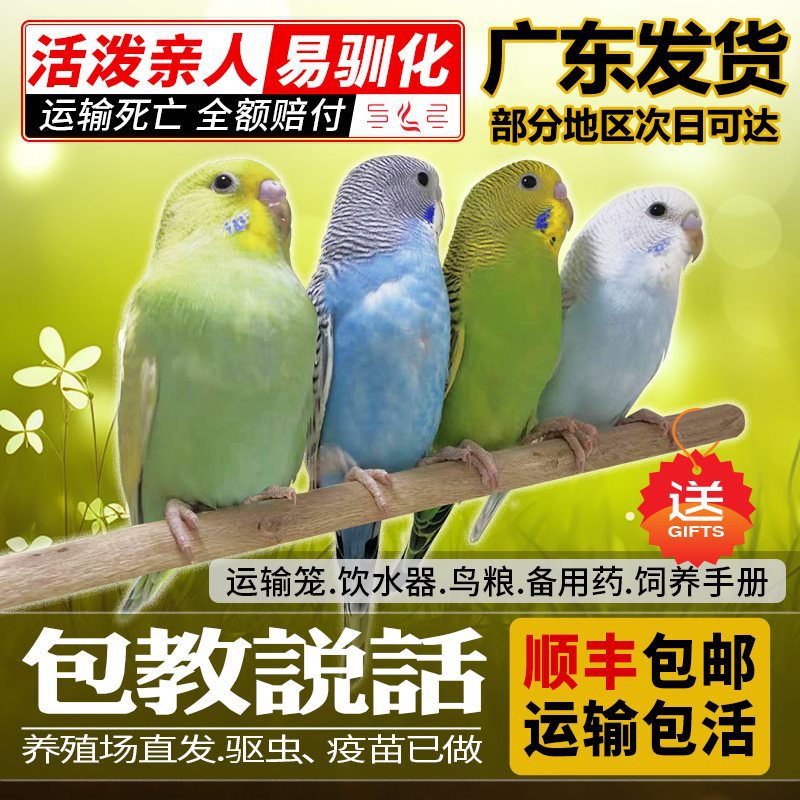 新闻简讯智能机器人_家电频道_天极网哈希娱乐- 哈希游戏平台- 哈希游戏官方网站