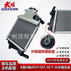 Dayang Adv150T-36 Su Çəni V Rui Dy150T-30/Vrf150 Radiator Qapağı ilə