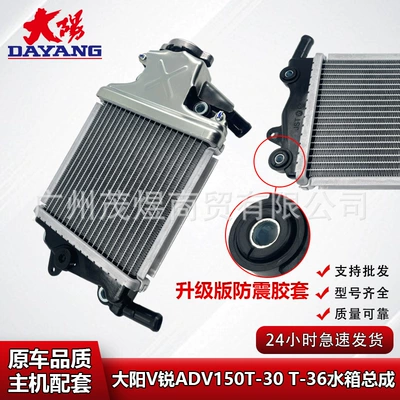 Suitable for Dayang Adv150T-36 Water Tank V Rui Dy150T-30/Vrf150 Radiator with Water Tank Cover