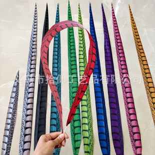 �����λ����~�u��β�O��վ��������L����ë��ë�����赸���u����