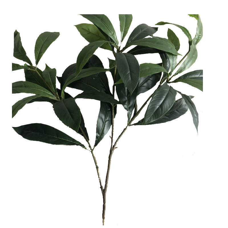 XRB-265 楠木三叉枝 (4).jpg