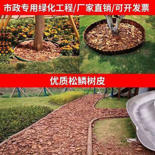 �ЙC���w��G������Ƥ��ĥ�ɘ�Ƥ�l�����[�����ɘ�Ƥ�S��ֱ�N