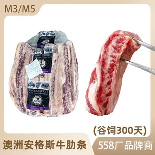 ����558�S����˹M3M5ţ�ߗl ����ߗl�����L�ߗlѩ���ظ�����