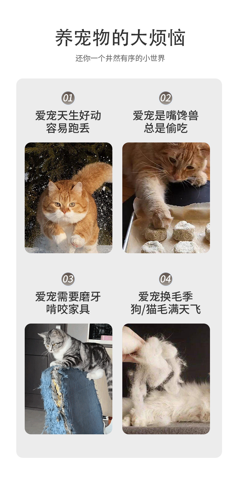 猫护栏_02.jpg