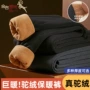 东北冬季加厚大码保暖裤
