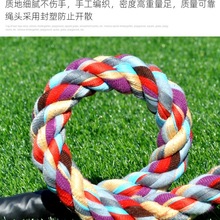 �κ�����ͯ���������׶�԰�������ӳ���Ȥζ�κ���Сѧ���κ�