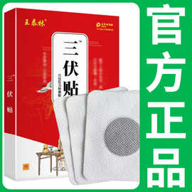 抖快热卖三伏贴批发儿童穴位贴夏伏贴温灸自发热膏药贴春夏养阳品