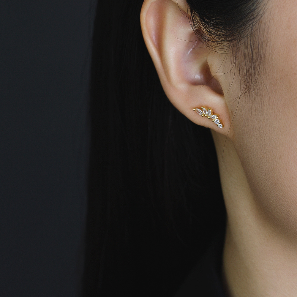 Fashion Geometric Sterling Silver Inlay Artificial Diamond Ear Studs 1 Pair