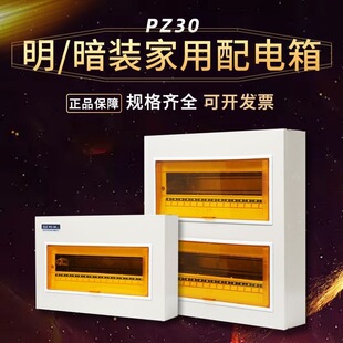 ��������PZ30��·�����b���_�䰵�b������w�����_�P�����S��